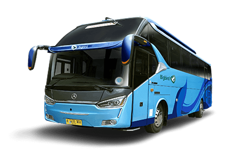 BUS PARIWISATA
