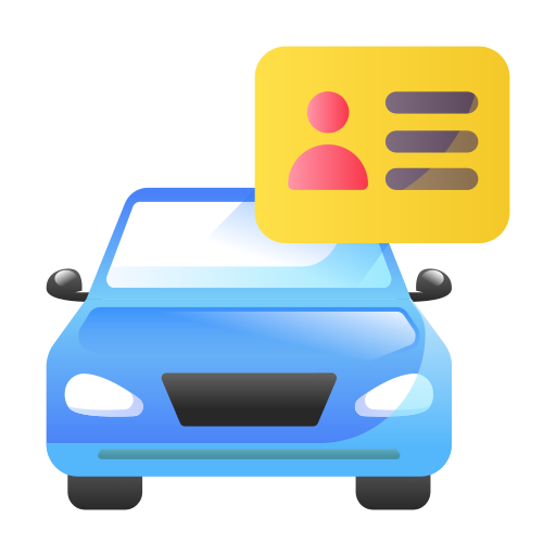 Driver Profesional